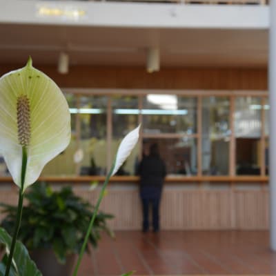 Stadshuset i Reso hösten 2015
