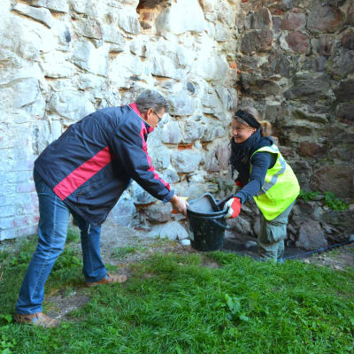 Museichef Dan Lindholm hjälper arkeolog Tarja Knuutinen vid utgrävningarna på Raseborgs slott.