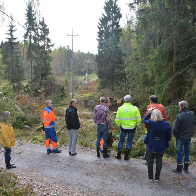 Representanter från Caruna och Relacom inspekterar avverkningsplatser på Skåldö.