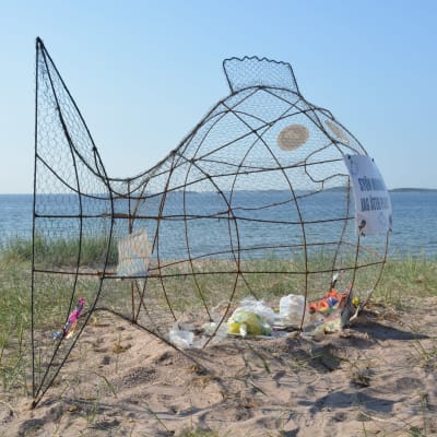 Järnfisk