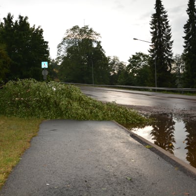 Omkullfallet träd vid Karis järnvägsbro