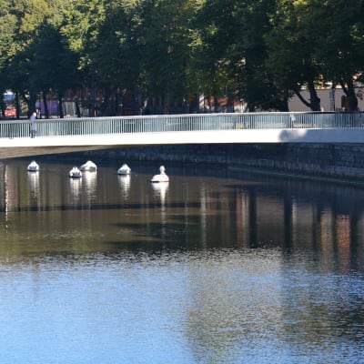 Biblioteksbron i Åbo