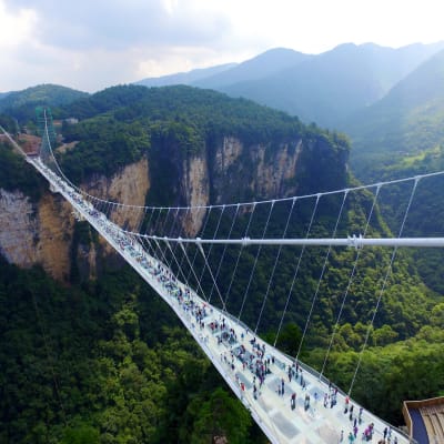 Världens längsta glasbro i Zhangjiajie i provinsen Hunan i Kina.