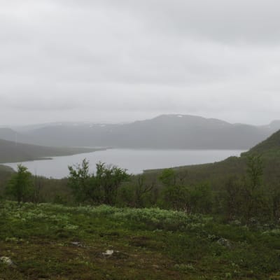 tunturimaisemaa ja järvi, alkukesällä