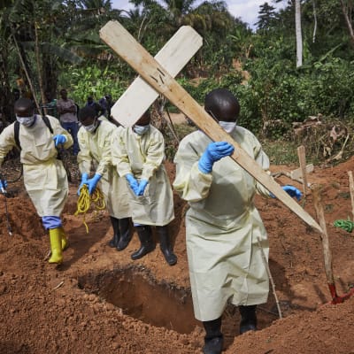 Hjälparbetare som gräver gravar för ebolaoffer. 