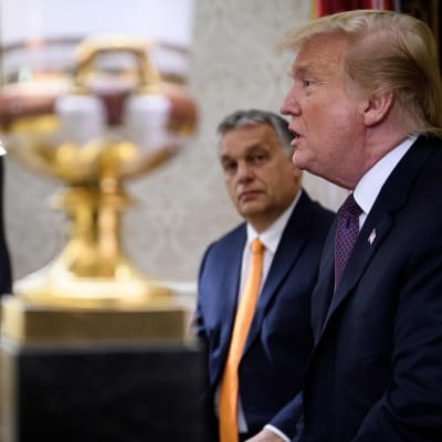 Donald Trump och Ungerns premiärminister Viktor Orbán i Vita huset. 