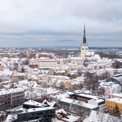 Kaupunkinäkymä ylhäältä, Tallinnan vanha kaupunki, Toompean linna