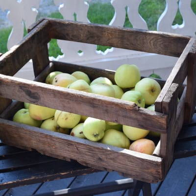 Äppel i en trälåda på en bänk