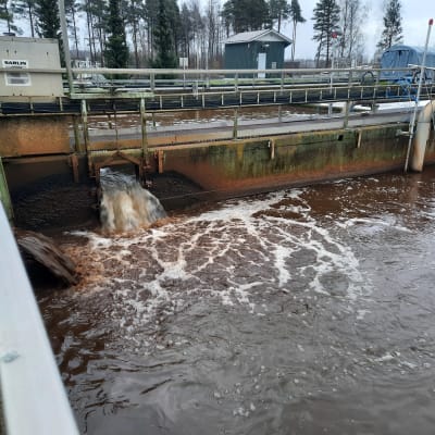 Toikansuon jätevedenpuhdistamon allas.