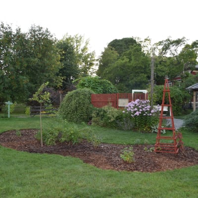 Trädgård med lusthus och bärplantering