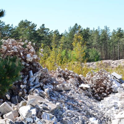 Tegelkross i naturen