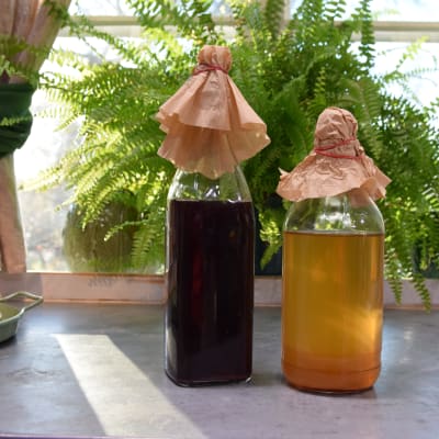 Två flaskor på en köksbänk. Den ena flaskan innehåller en rödbrun vätska och den andra innehåller en gulbrun vätska. Flaskornas mynning är täckta med varsitt kaffefilter. 