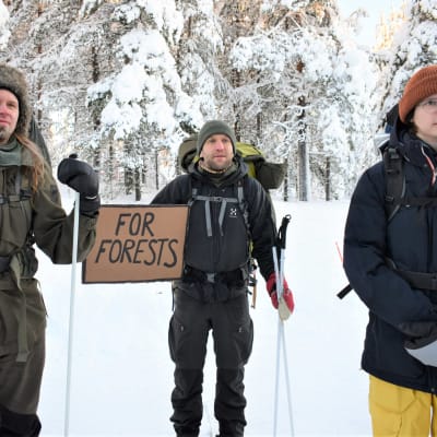 Tre personer på skidor i en snöig skog. En av dem har en skylt med orden "för skogar" i handen.