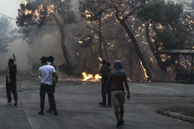 Människor går vid en skogsbrand på den grekiska ön Euboia.