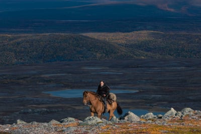 En ensam man till häst i ett öppet landskap i norra Finland.