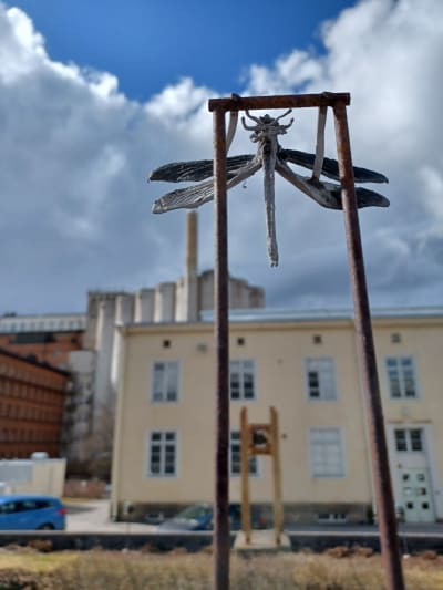 En trollslända i järn från Stefan Lindfors skulptur Cyclus som finns i Marieparken framför Österbottens museum. Österbottens museum i Vasa och de gamla silorna som ska rivas i bakgrunden. 