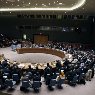 FN:s säkerhetsråd
