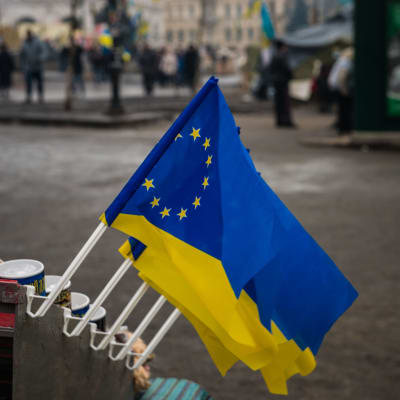 EU:n liput olivat vahvasti esillä Ukrainan Euromaidan-mielenosoituksissa vuonna 2014.