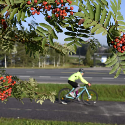 Cyklist ute i höstsolen. 