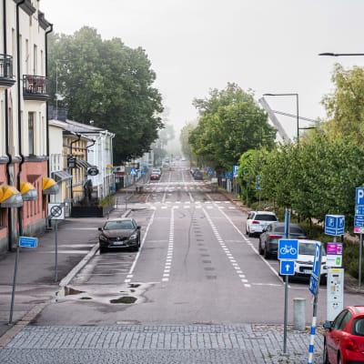 Vy över en dimmig gata, bilar står parkerade längs den