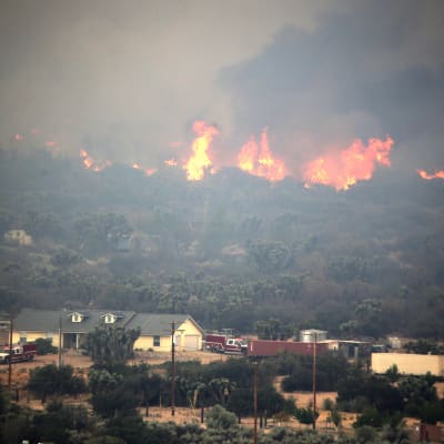 Skogsbranden omkring 120 kilometer öster om Los Angeles, har döpts till Blue Cut. Branden sprids i skogar och raviner vid bergspasset Cajon Pass.
