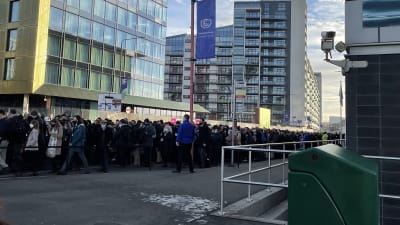 köer på klimatmötet i Glasgow