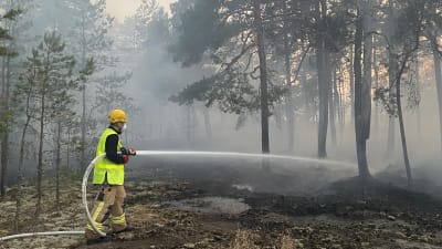 Brandsläckning i skogen