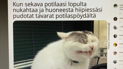 memes