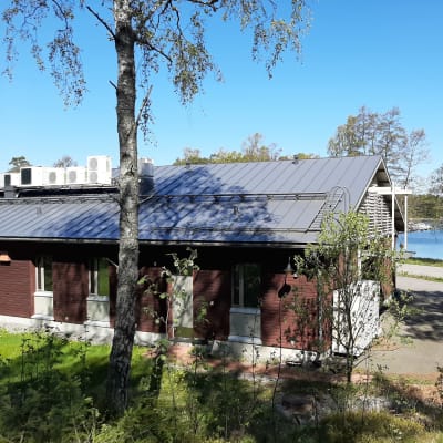 Byggnad med träpanel i lummig miljö.