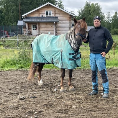 Suomenhevosori Evartti seisoo vihreä loimi selässään hiekkakentällä valmentajansa Antti Ojanperän kanssa.