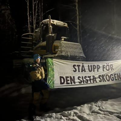 Hakkuita vastustava aktivisti pitää kiinni hakkuukoneen edessä olevasta kankaasta, johon on kirjoitettu Stå upp för den sista skogen.
