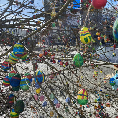 Värikkäitä pääsiäismunia roikkumassa  oksissa, taustalla näkyy Lordin aukio Rovaniemen keskustassa.
