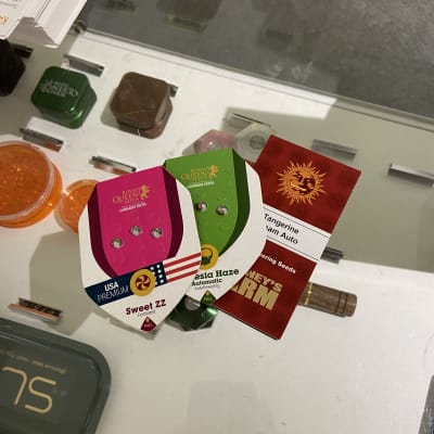 Tre förpackningar cannabisfrön på en glasdisk. 