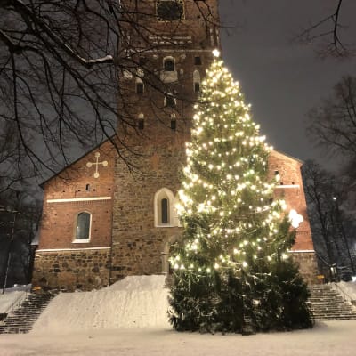 Turun tuomiokirkon joulukuusi valaistuna ja lunta ympärillä ja kirkon portailla.