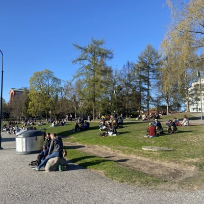 Ihmisiä aurinkoisessa Koskipuistossa, suurin osa istumassa nurmikolla.