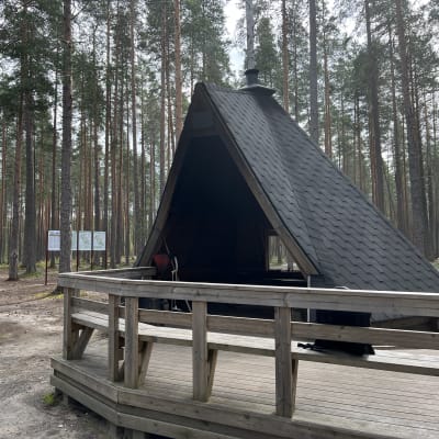 Kota metsän keskellä. 