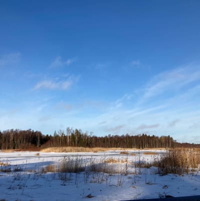 Pukinjärvi kuvattuna talvisena päivänä.