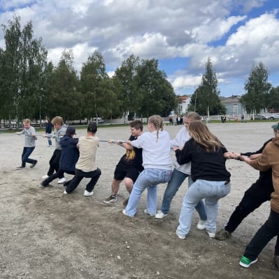Dragkamp