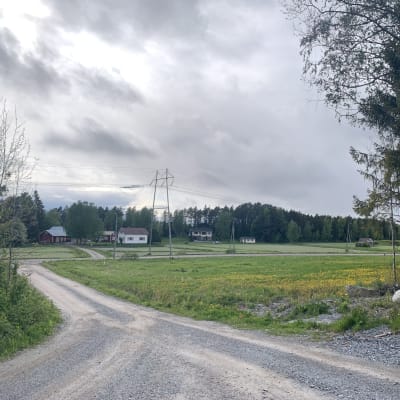 Liten grusväg löper genom landsbygdsidyll. En blomsteräng syns i förgrunden och längre bort en kraftledning och några hus.