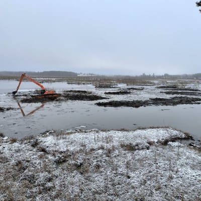 Kaivinkone ruoppaa Patalahden kosteikkoa Maaningalla.