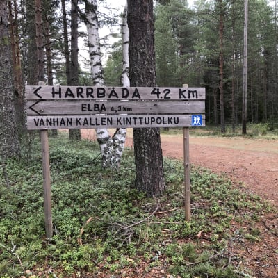 Metsässä sijaitsevan kuntoradan varrella on opastekyltti, jossa on viitoitus eri luontopoluille