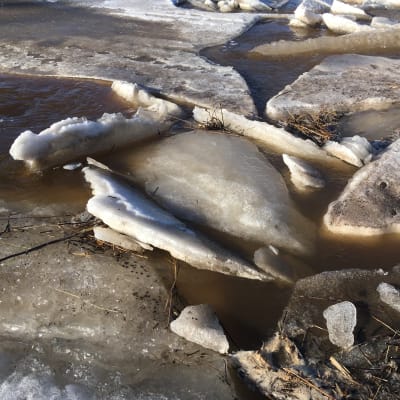 Jäät lähtivät liikkeelle Kyrönjoessa, jäälohkareita