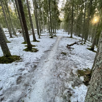 Jäinen polku maastossa. Polkun vieressä mänty, jossa retkeilijän ja maastopyörilijän kuva.