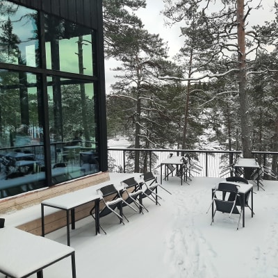 Snötäckt terrass med tallar i bakgrunden vid restaurang The Berg i Barösund.