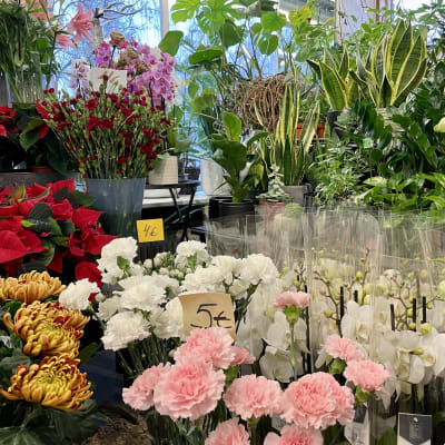 Lappeenrantalaisen kukkakaupan näyteikkunassa on monenlaisia viherkasveja ja leikkokukkia.