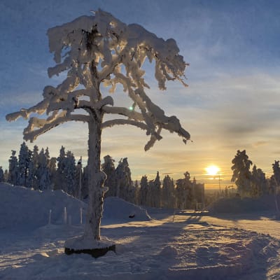 Auringonlasku Levillä marraskuun puolivälissä 2023.