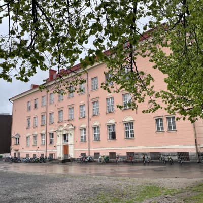 Cygnaeus  koulu Jyväskylässä kuvattuna puiden takaa