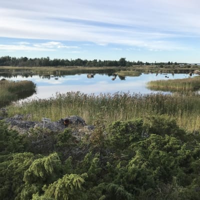 Skärgården vid Molpehällorna.