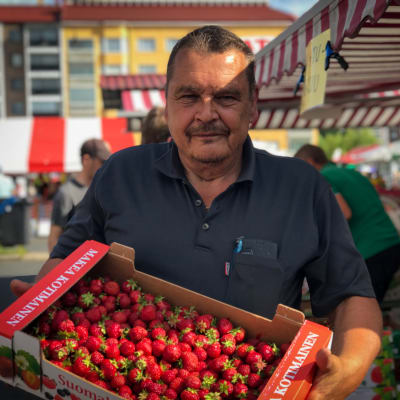 Mansikoita myyvä Matti Valtakivi esittelee mansikkalaatikkoa. 