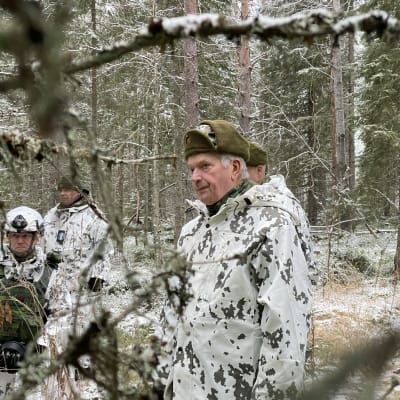 Maastopukuinen Sauli Niinistö alkutalven metsässä.